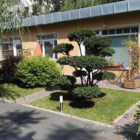 Fewo 2 Drážďany Exteriér fotografie